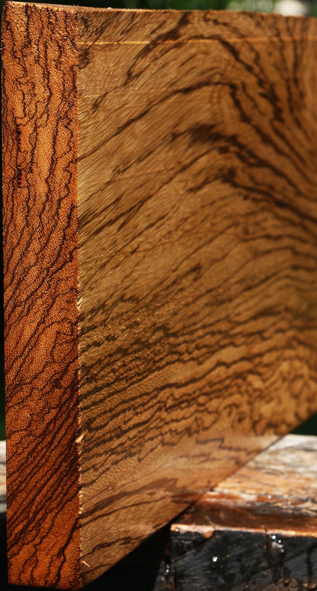 Extra Fancy Zebrawood Lumber
