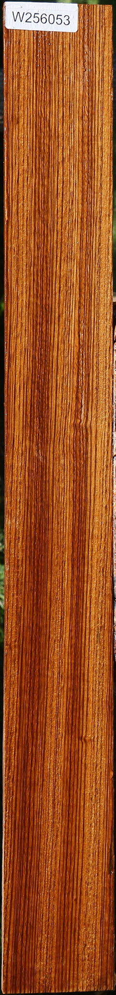 Quartersawn Zebrawood Lumber