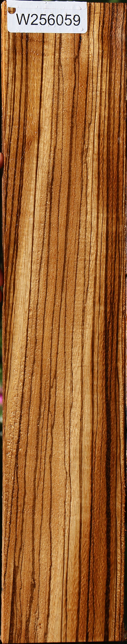 Quartersawn Zebrawood Lumber