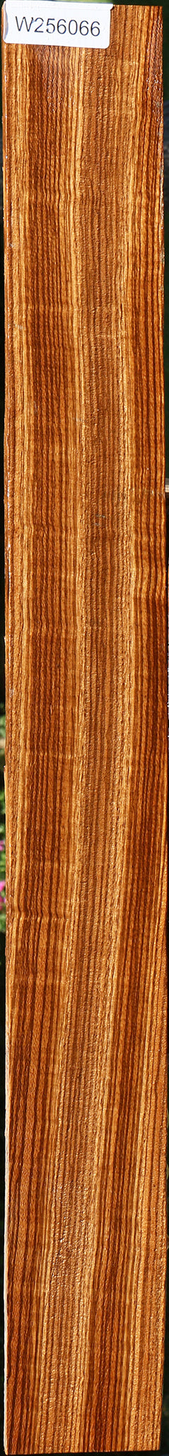 Quartersawn Zebrawood Lumber
