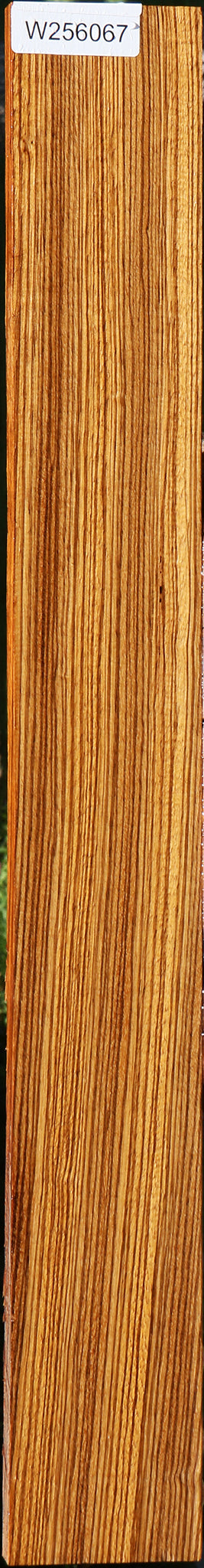 Quartersawn Zebrawood Lumber