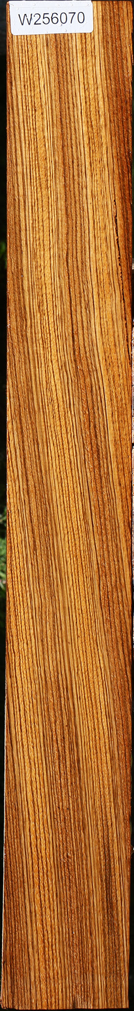 Quartersawn Zebrawood Lumber