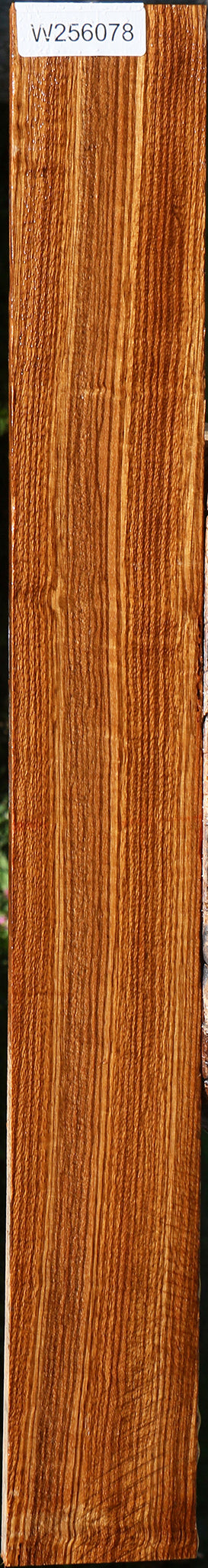 Quartersawn Zebrawood Lumber