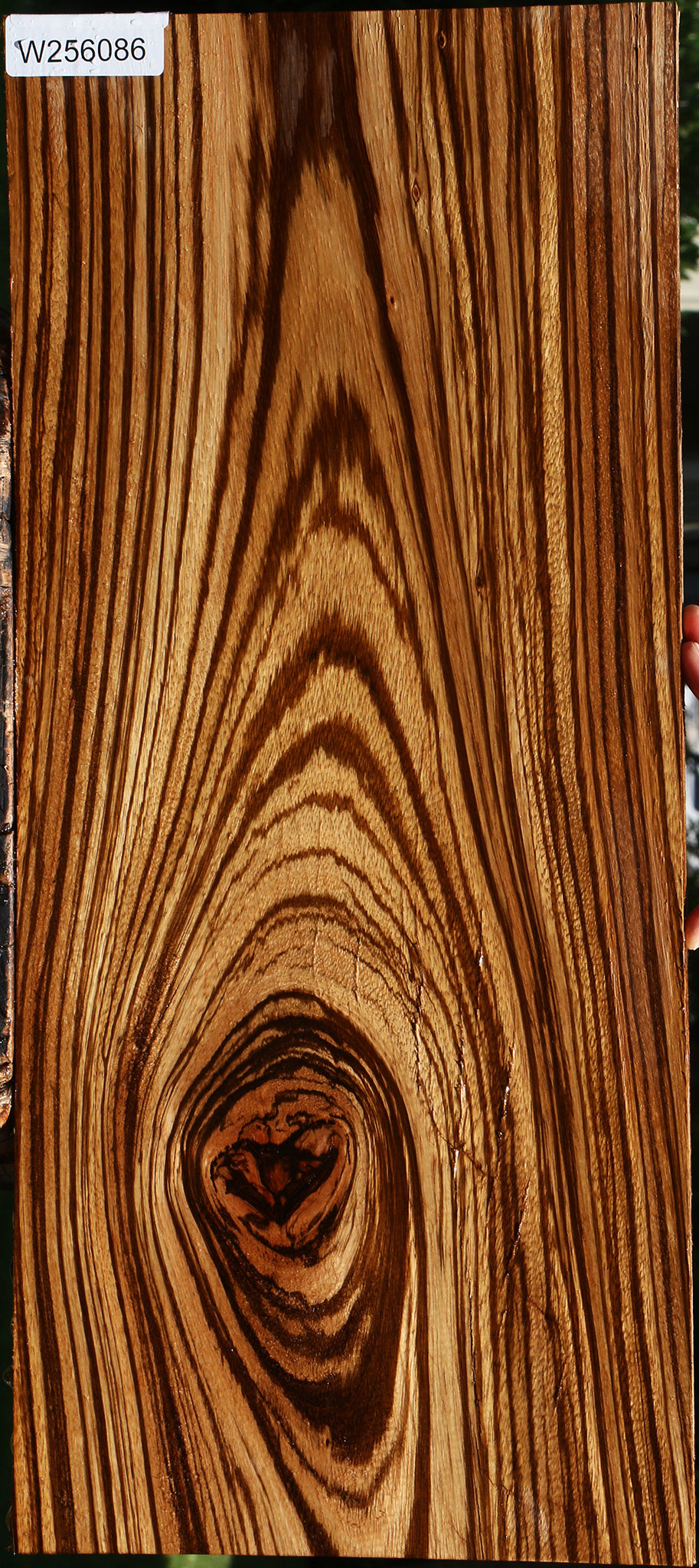 Rustic Zebrawood Lumber