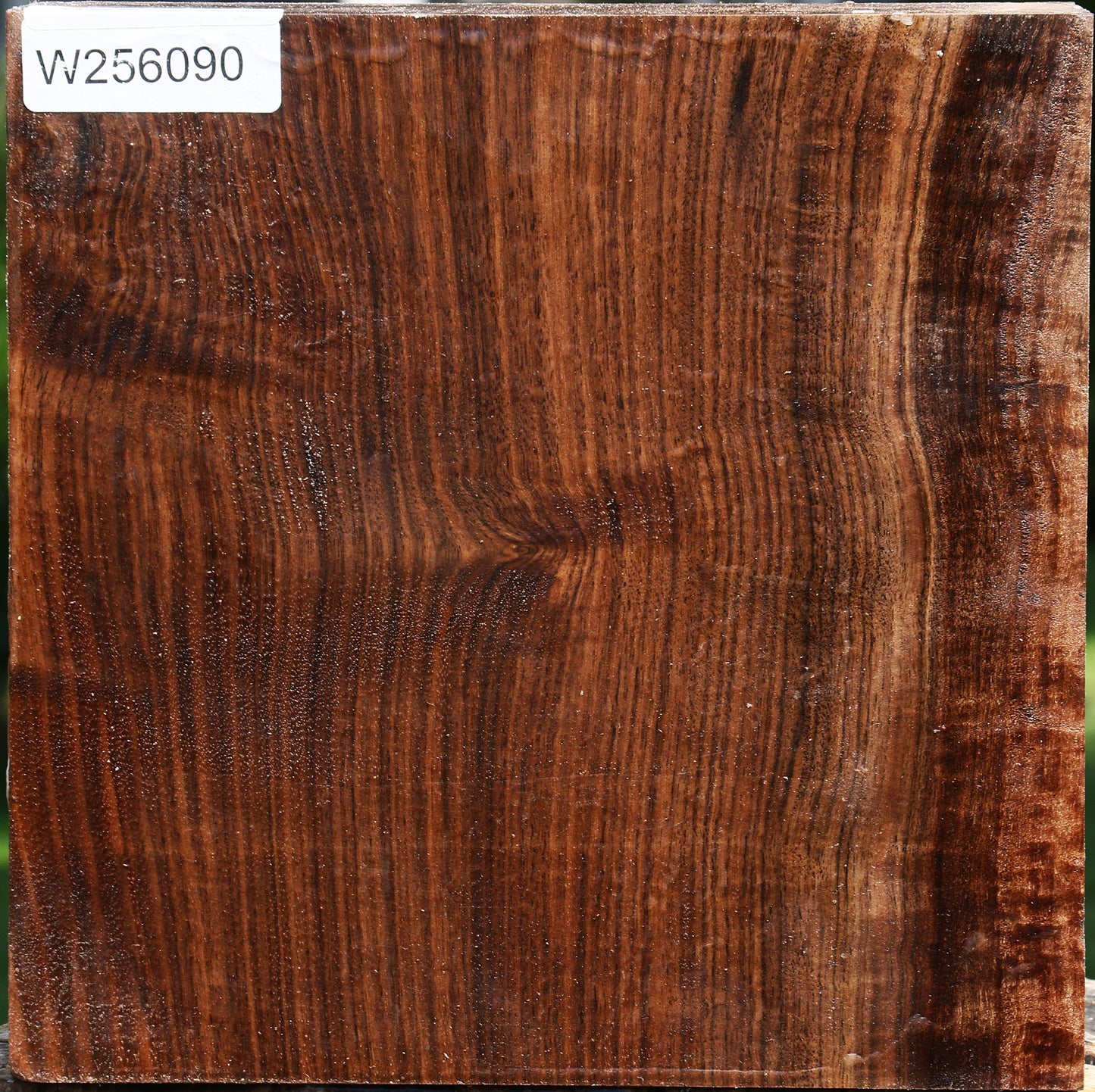 Figured Claro Walnut Bowl Blank