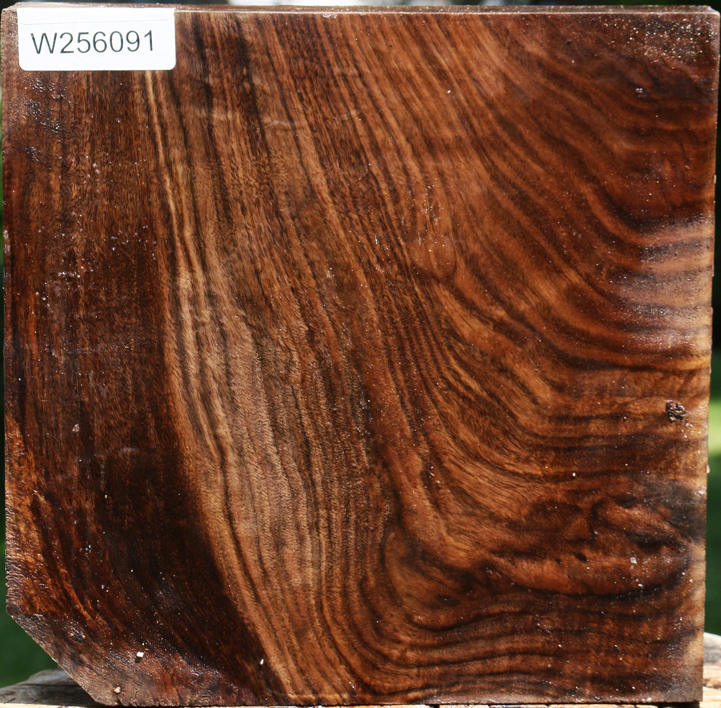 Claro Walnut Bowl Blank