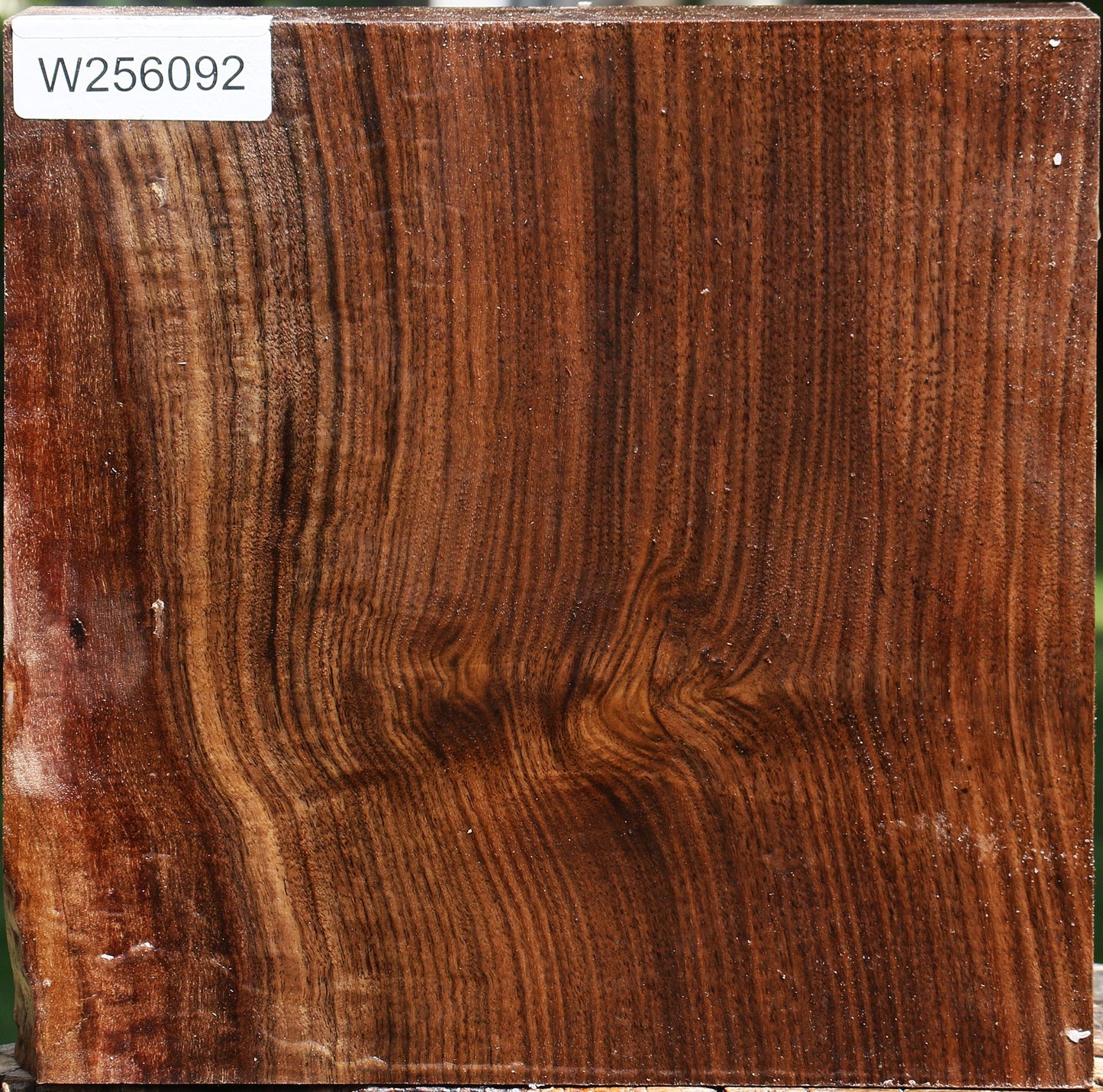 Claro Walnut Bowl Blank