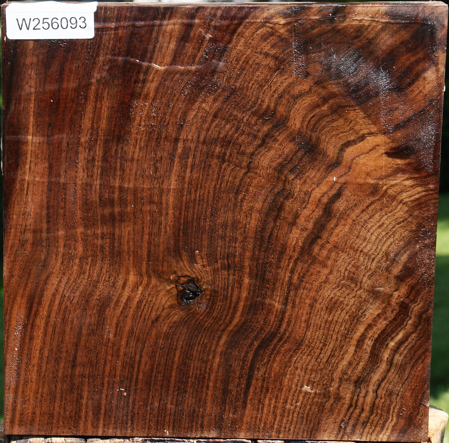 Figured Claro Walnut Bowl Blank