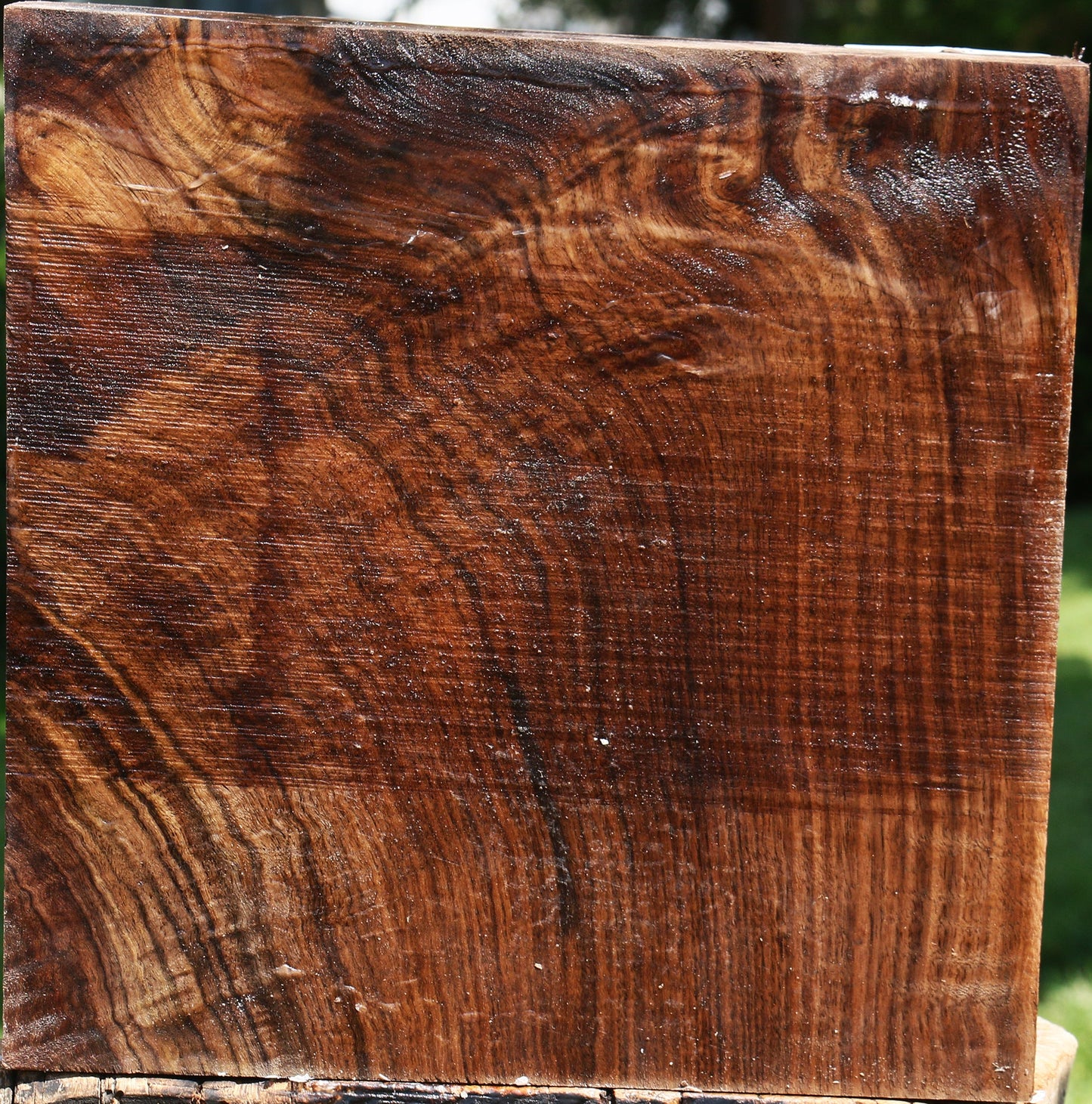 Figured Claro Walnut Bowl Blank