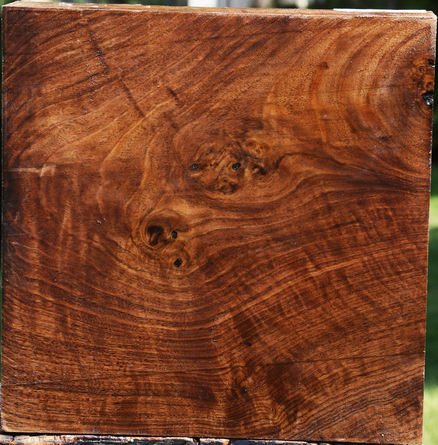 Figured Claro Walnut Bowl Blank