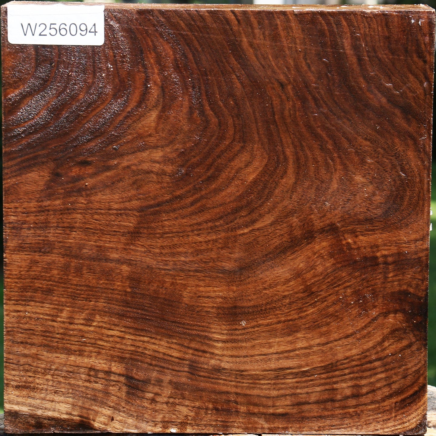 Figured Claro Walnut Bowl Blank