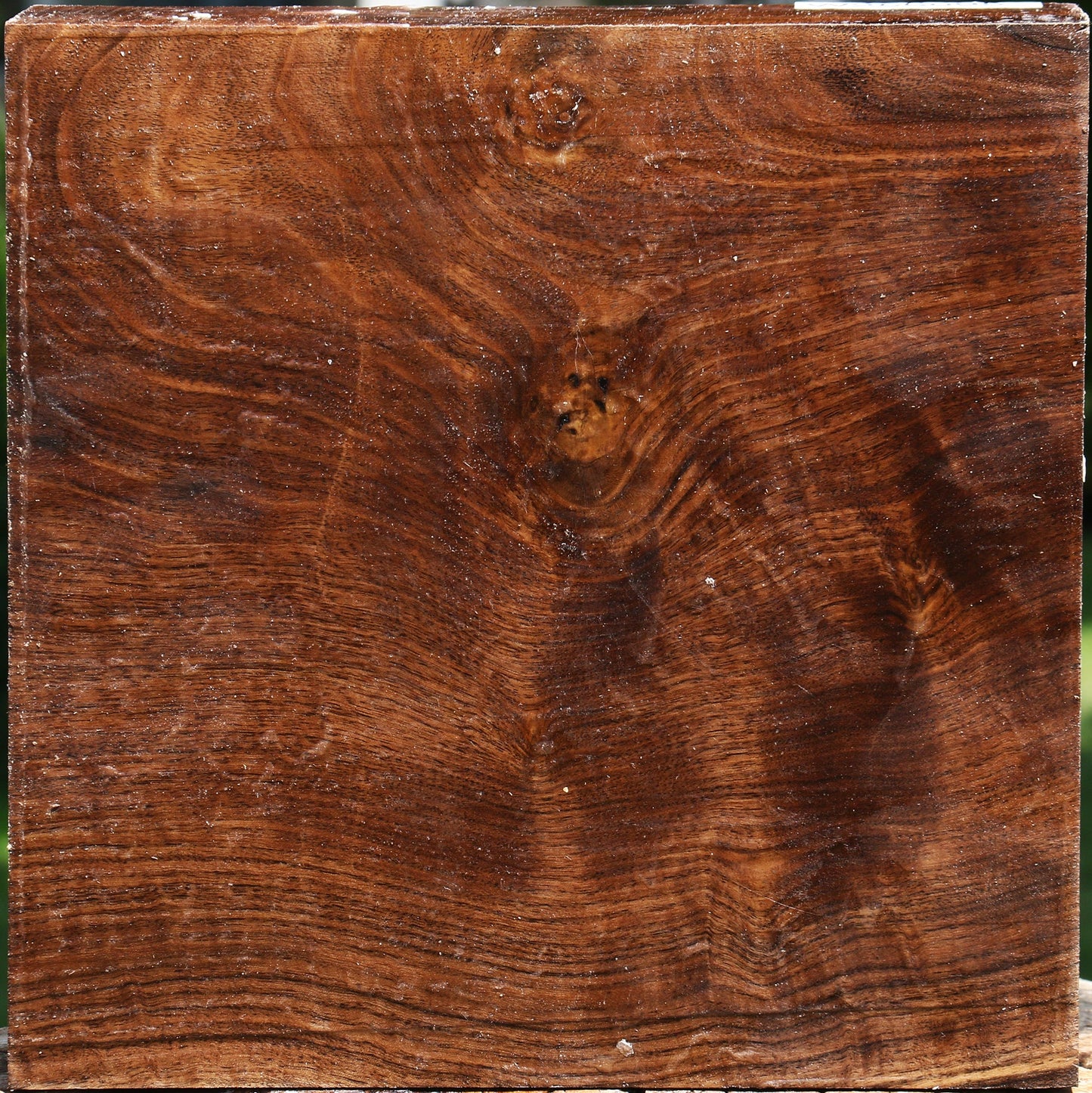 Claro Walnut Bowl Blank