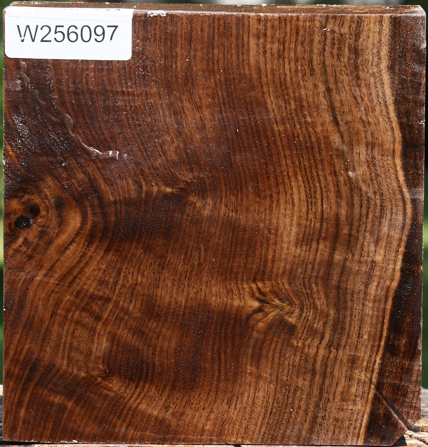 Figured Claro Walnut Bowl Blank