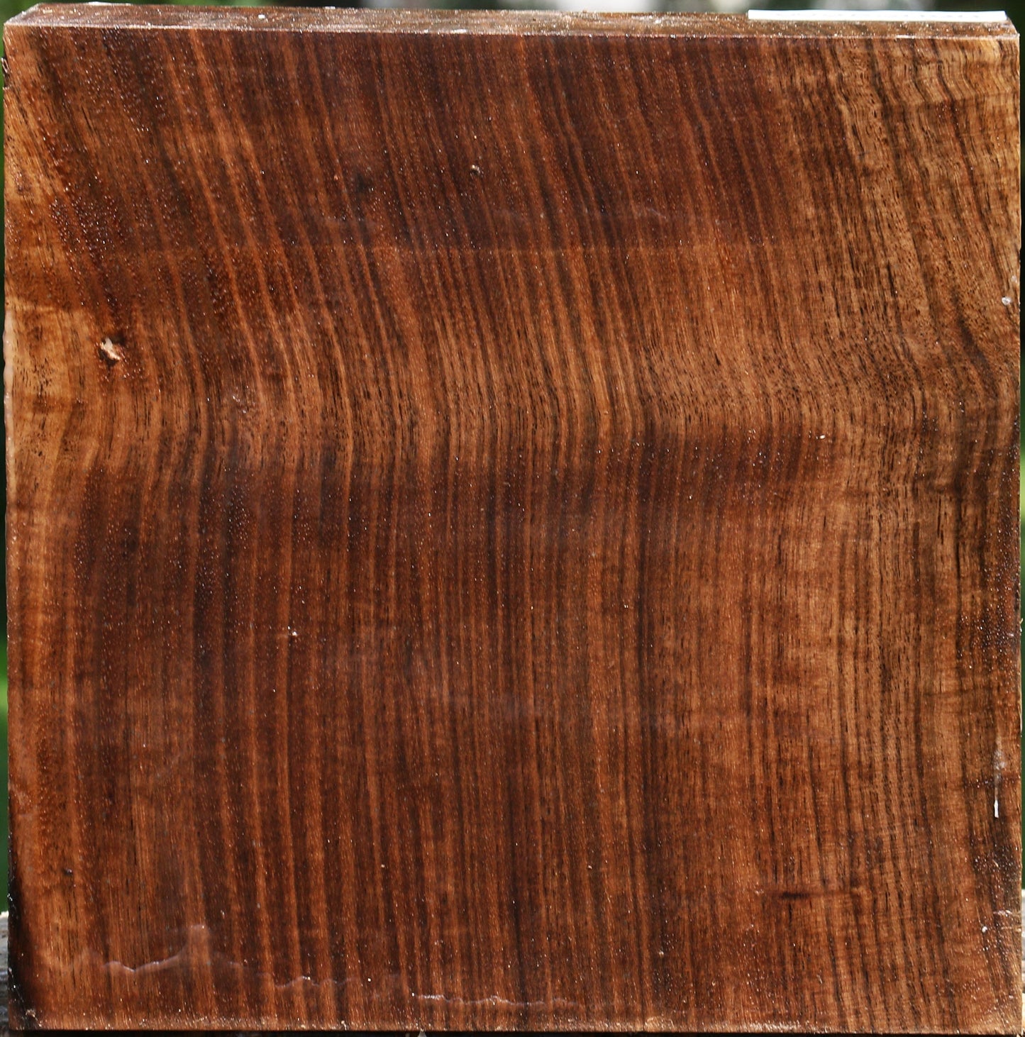 Figured Claro Walnut Bowl Blank
