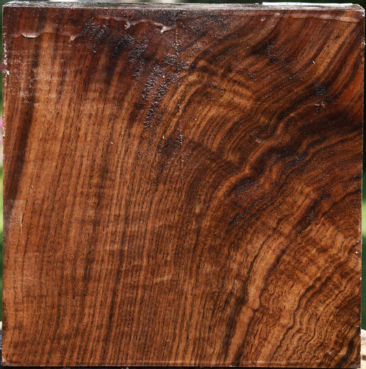 Extra Fancy Claro Walnut Bowl Blank