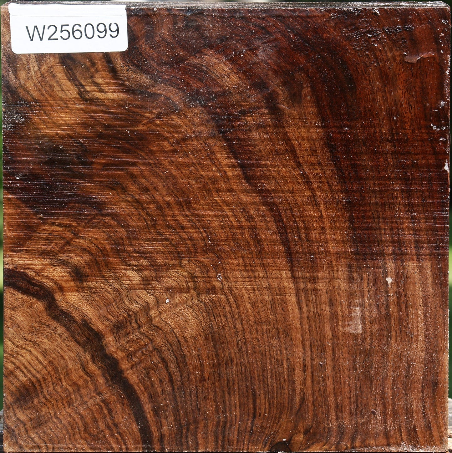 Extra Fancy Claro Walnut Bowl Blank