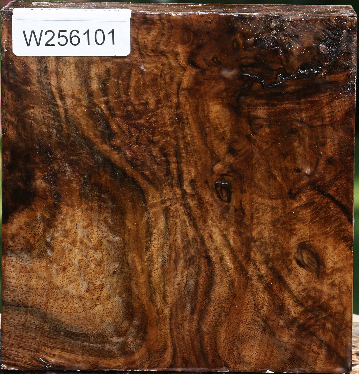Figured Claro Walnut Bowl Blank