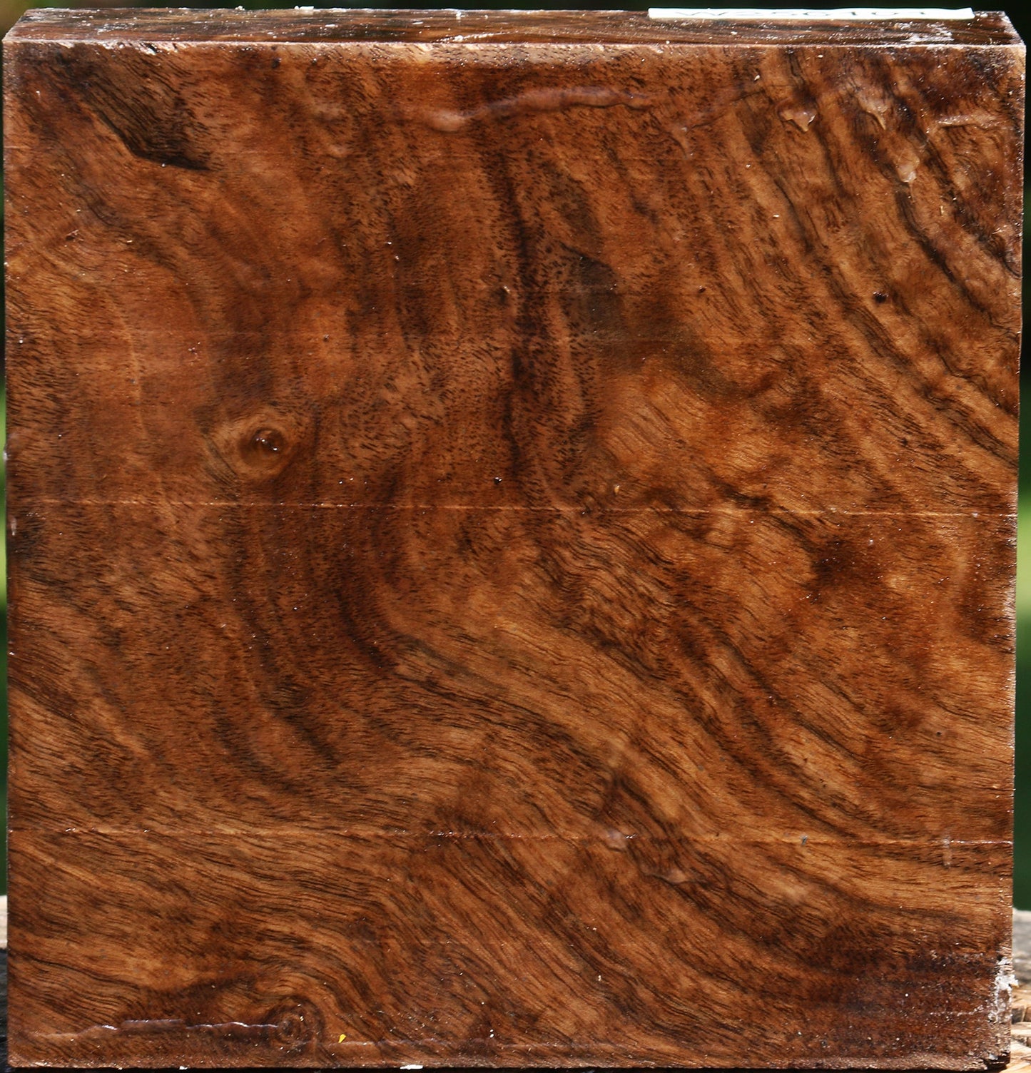 Figured Claro Walnut Bowl Blank