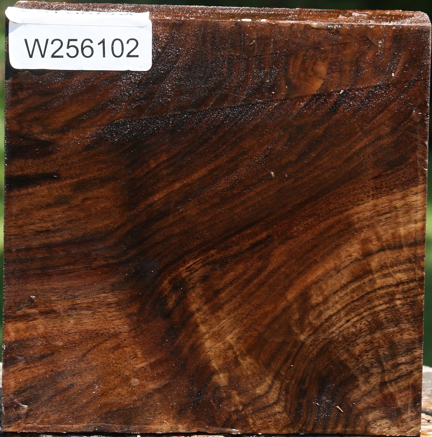 Claro Walnut Bowl Blank