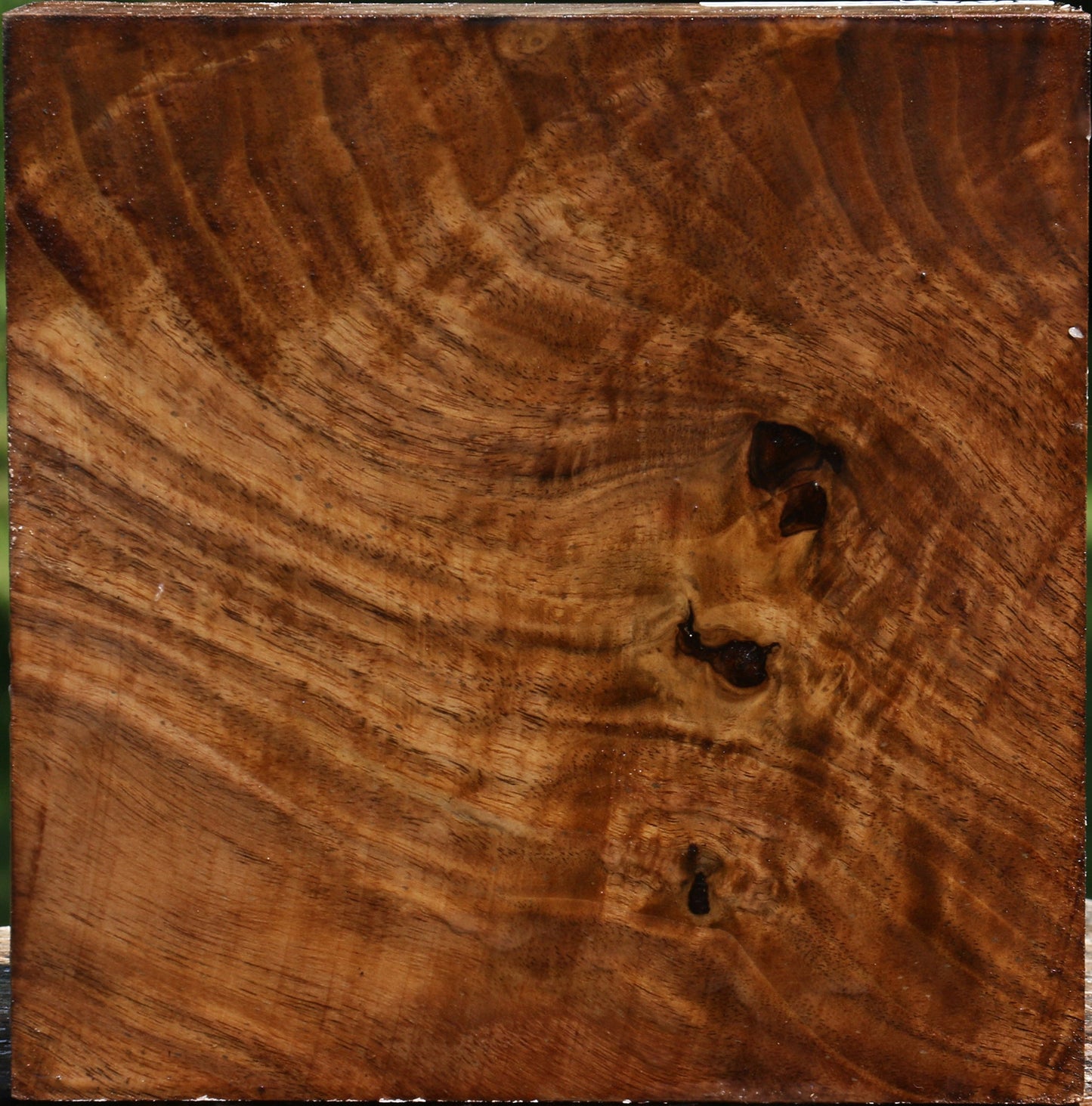 Claro Walnut Bowl Blank