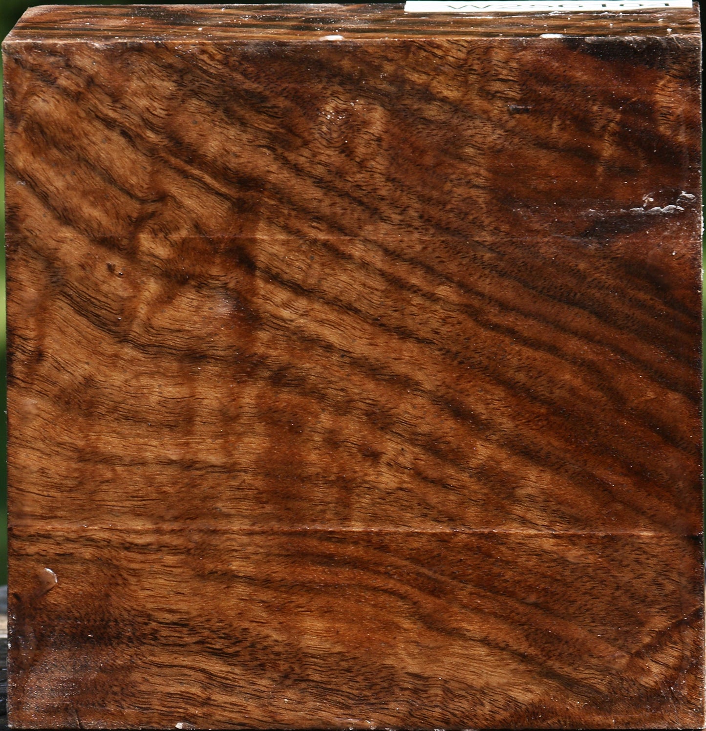 Figured Claro Walnut Bowl Blank