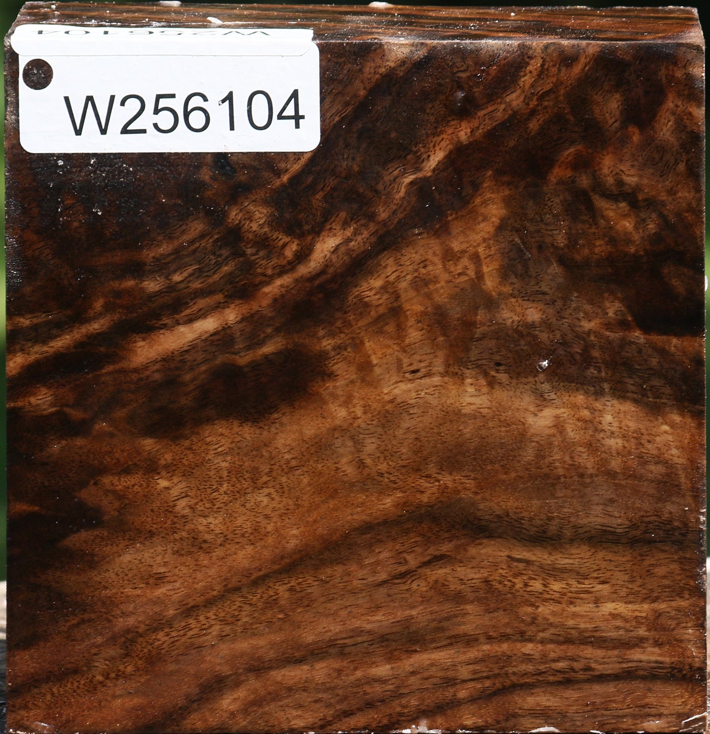 Figured Claro Walnut Bowl Blank