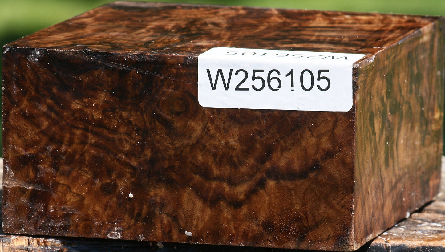 Exhibition Claro Walnut Bowl Blank