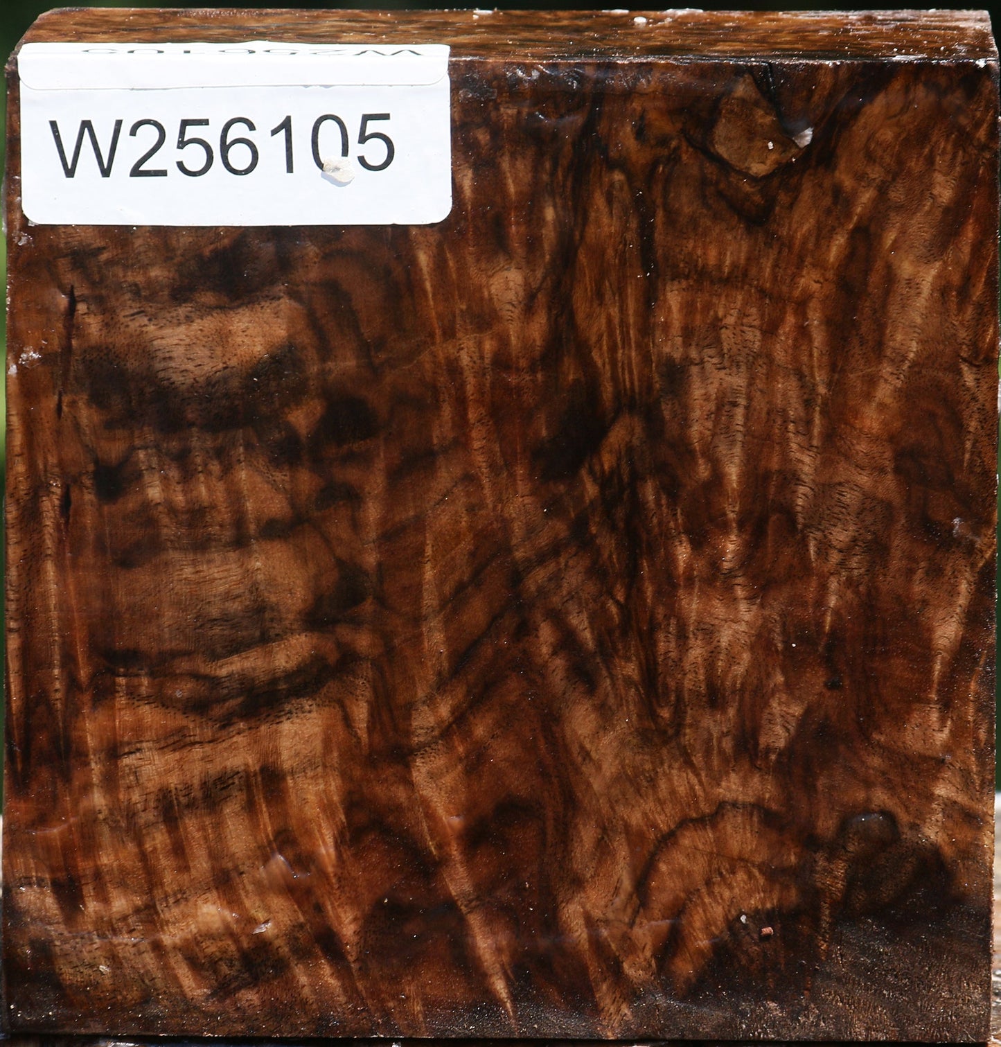 Exhibition Claro Walnut Bowl Blank
