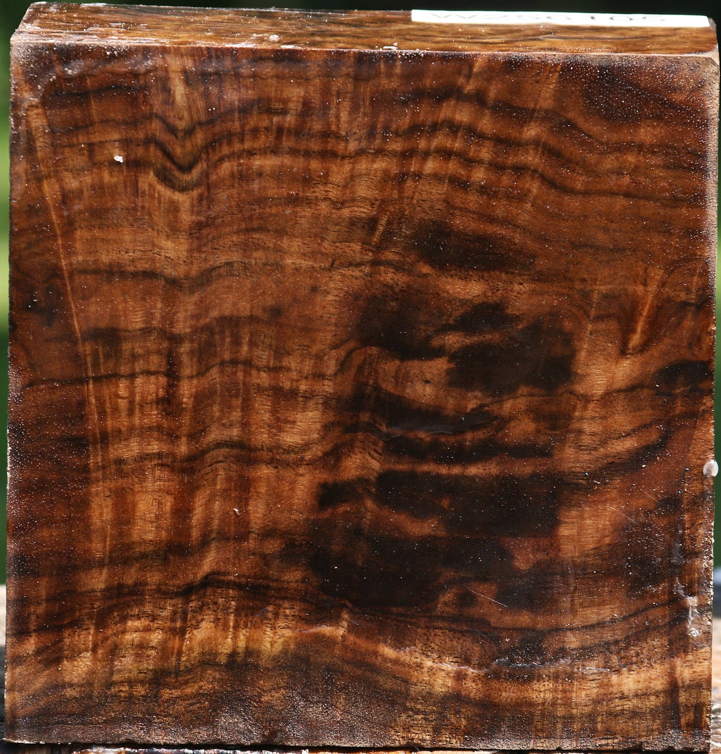 Exhibition Claro Walnut Bowl Blank