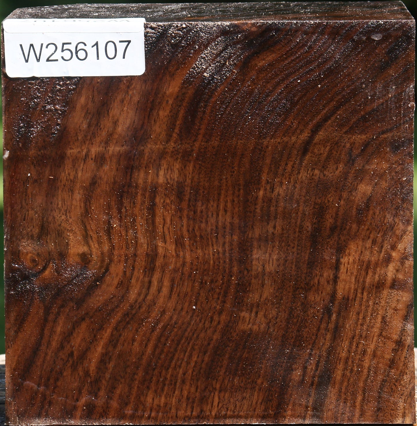 Claro Walnut Bowl Blank