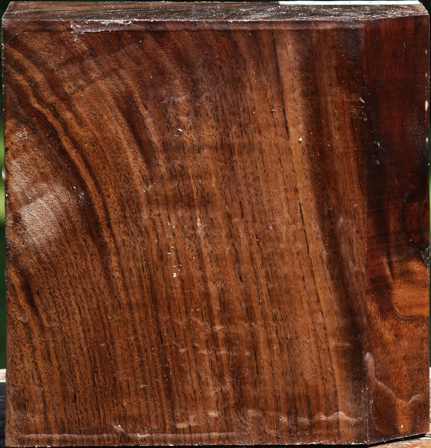 Claro Walnut Bowl Blank