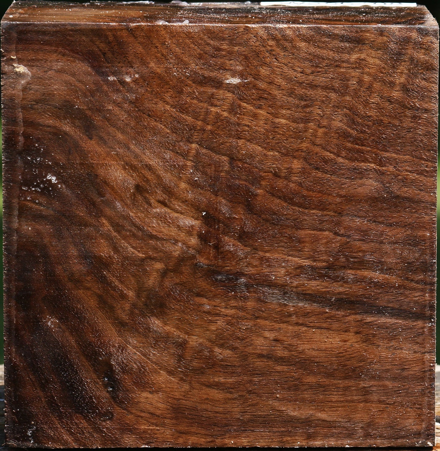 Figured Claro Walnut Bowl Blank