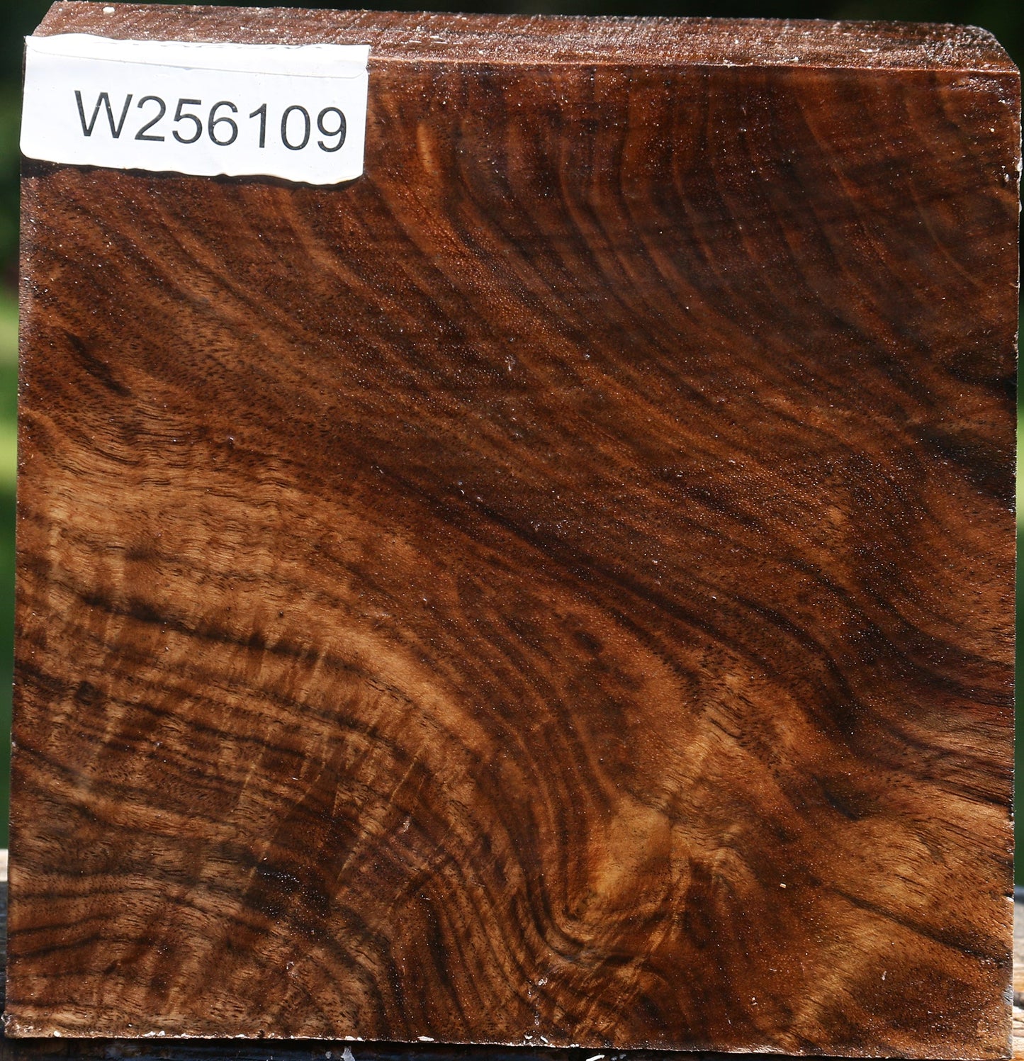 Figured Claro Walnut Bowl Blank