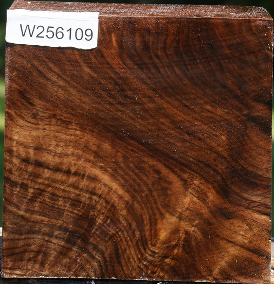 Figured Claro Walnut Bowl Blank
