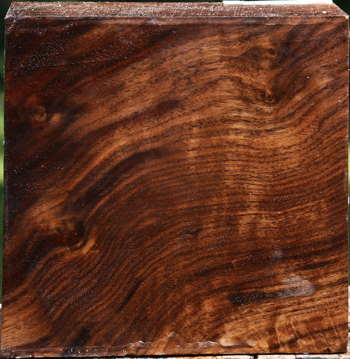 Figured Claro Walnut Bowl Blank
