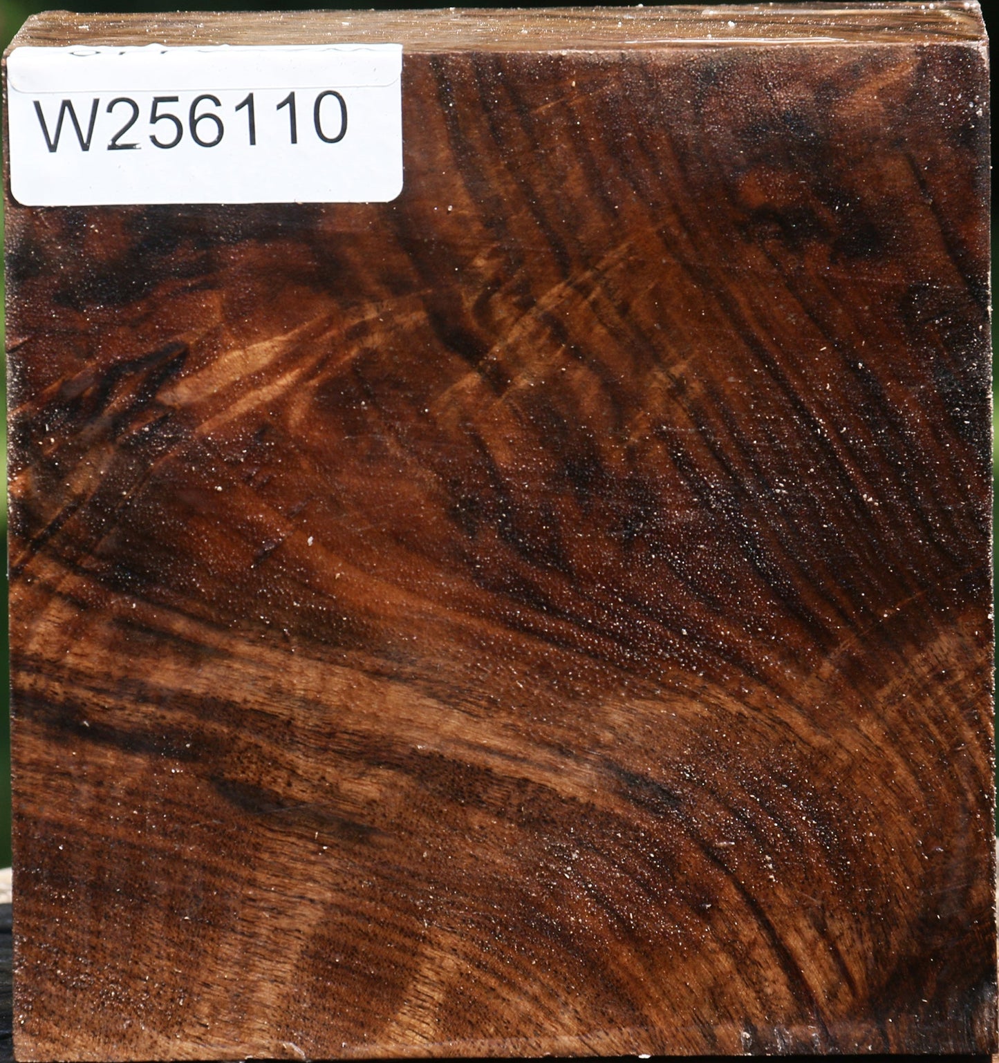 Extra Fancy Claro Walnut Bowl Blank