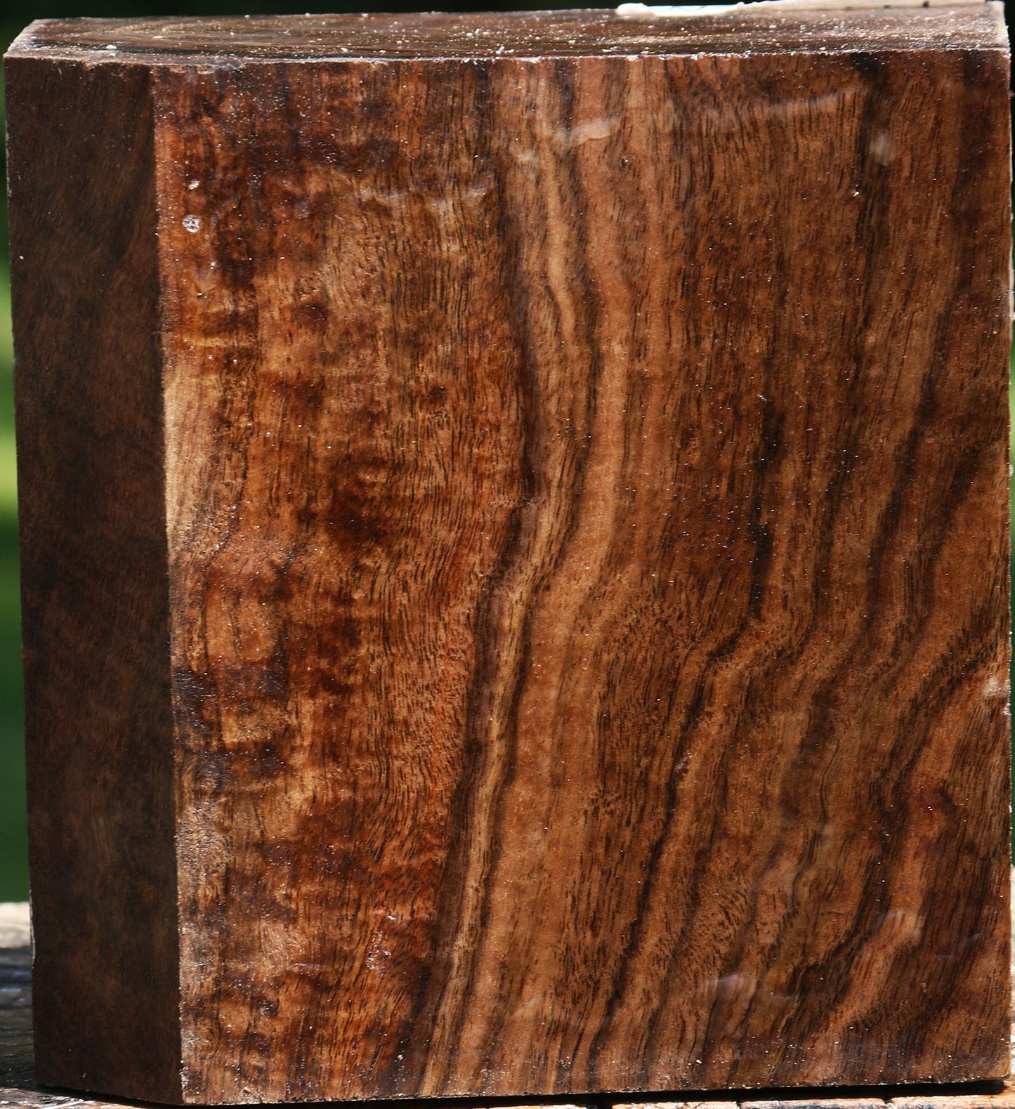 Figured Claro Walnut Bowl Blank