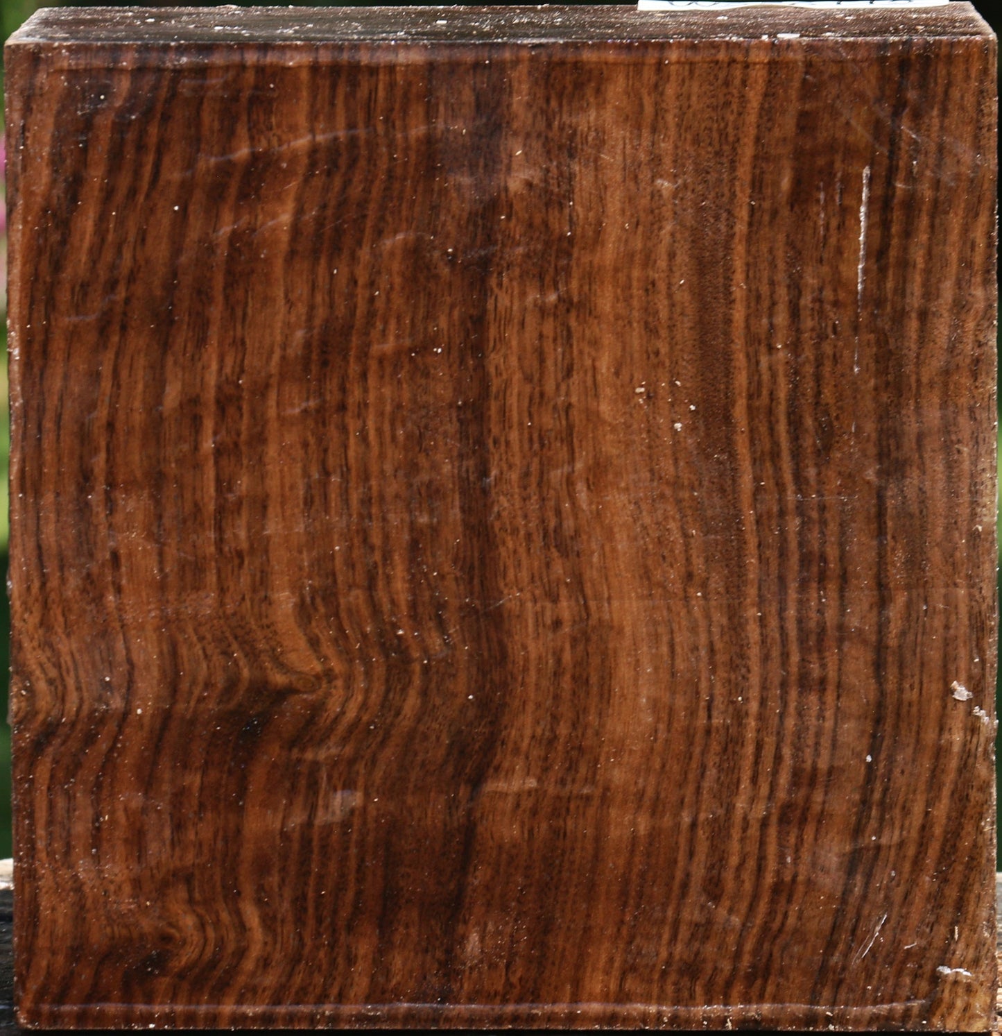 Figured Claro Walnut Bowl Blank