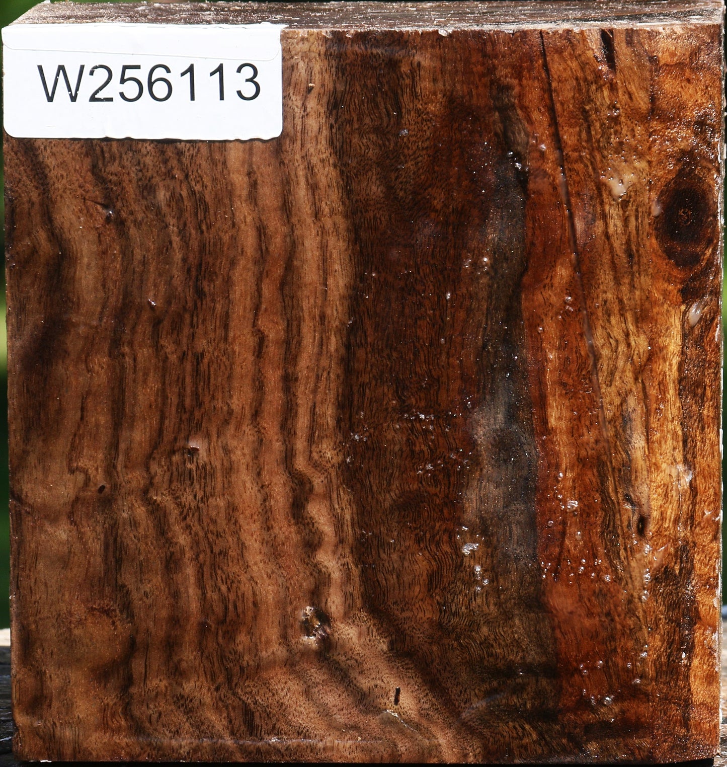 Figured Claro Walnut Bowl Blank