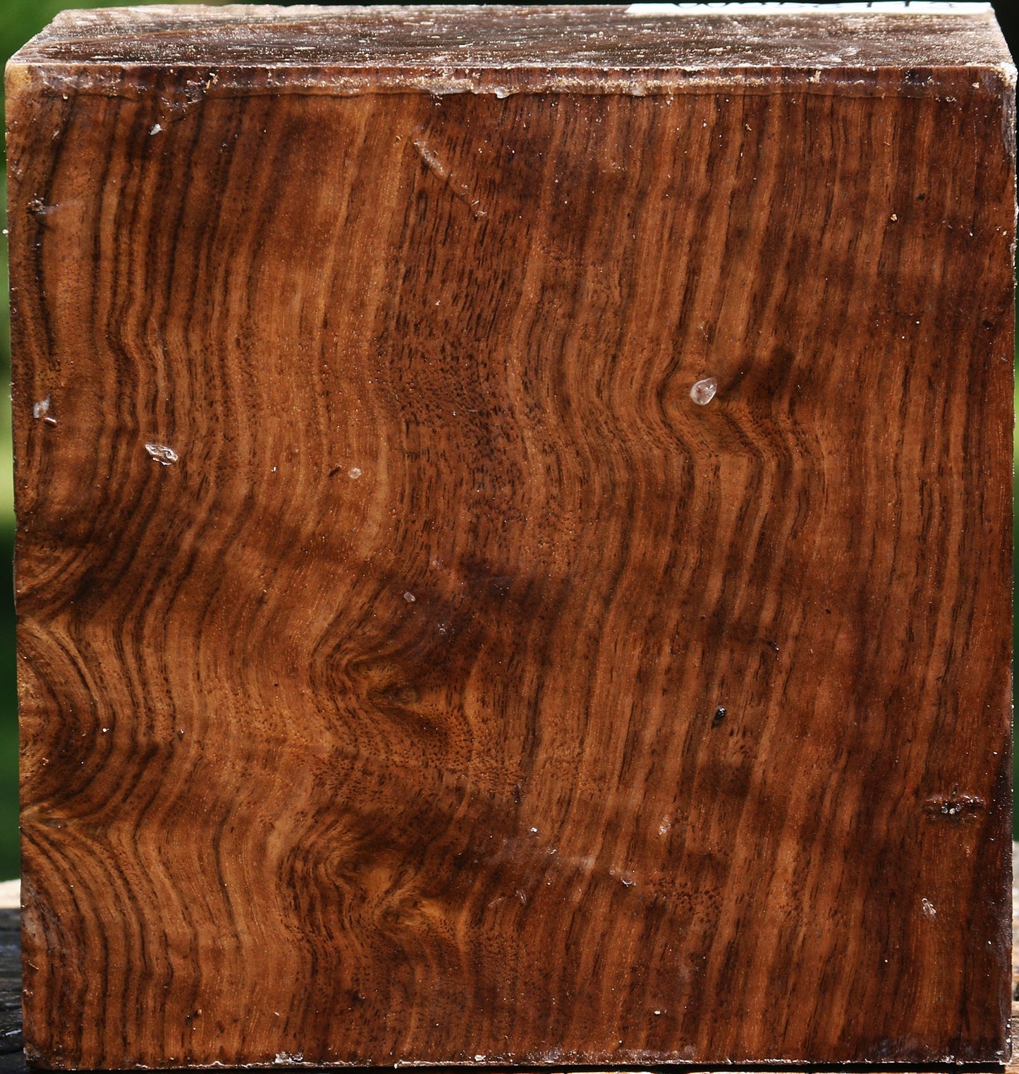 Figured Claro Walnut Bowl Blank