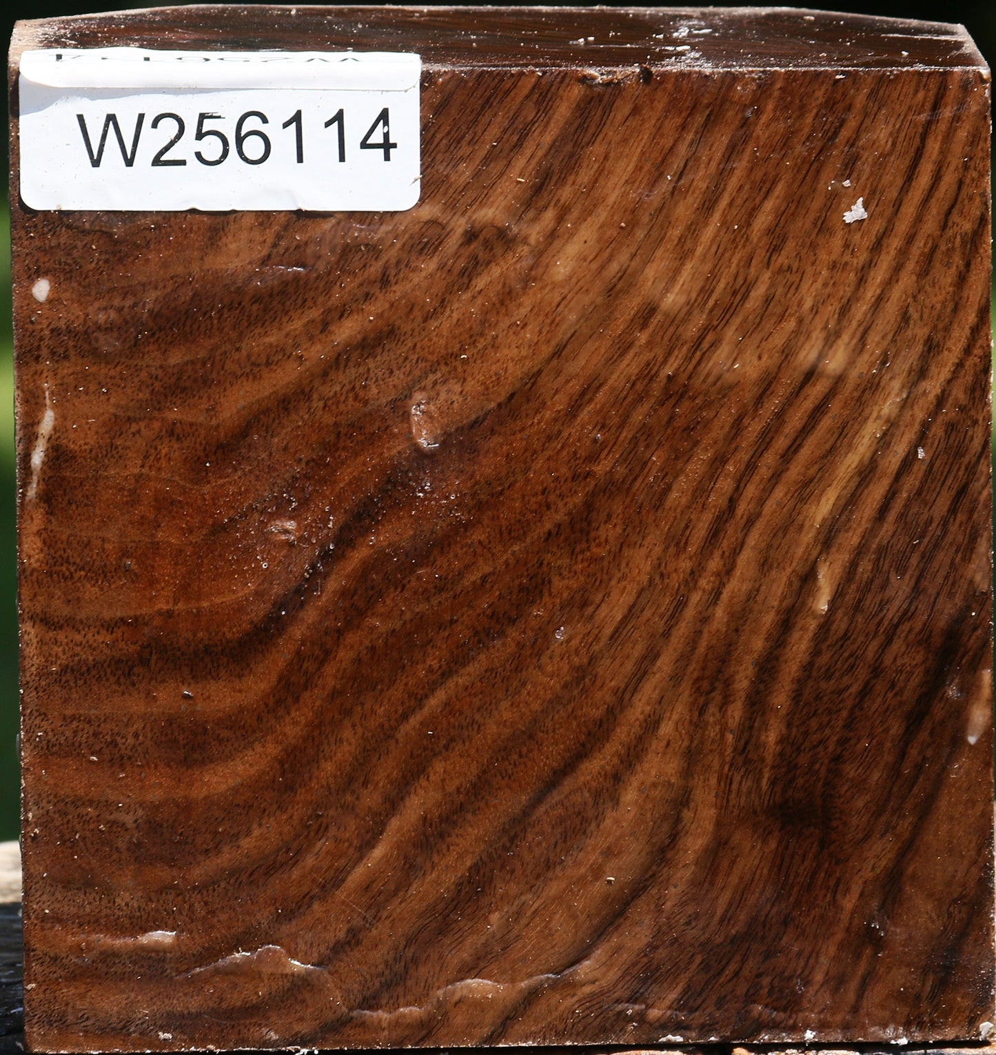 Figured Claro Walnut Bowl Blank