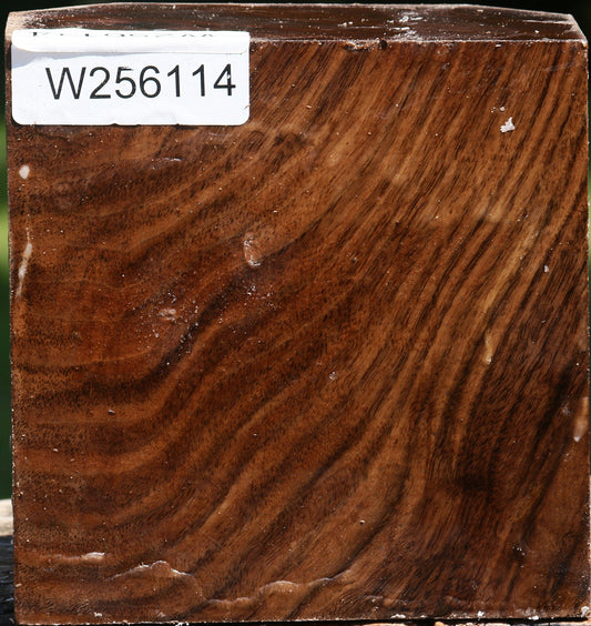 Figured Claro Walnut Bowl Blank