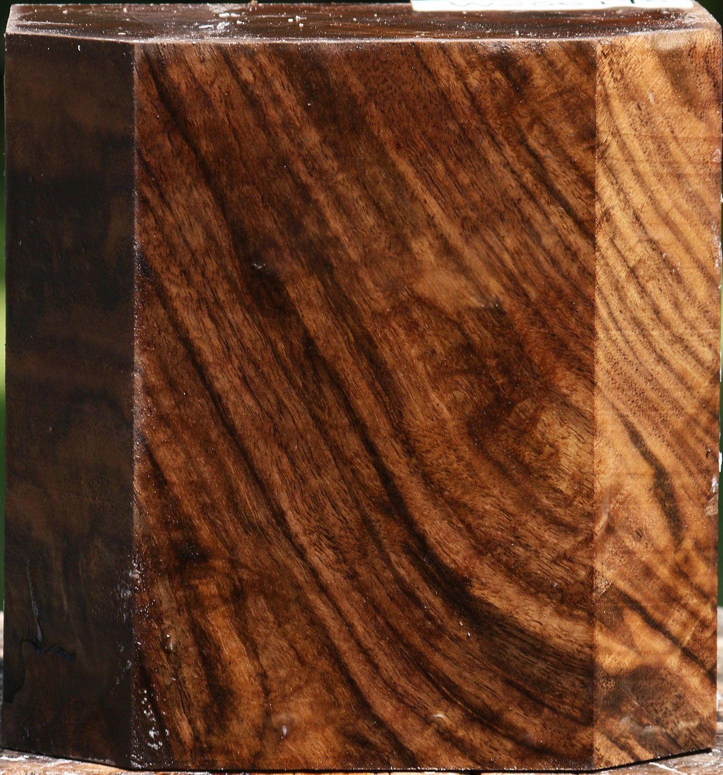 Figured Claro Walnut Bowl Blank