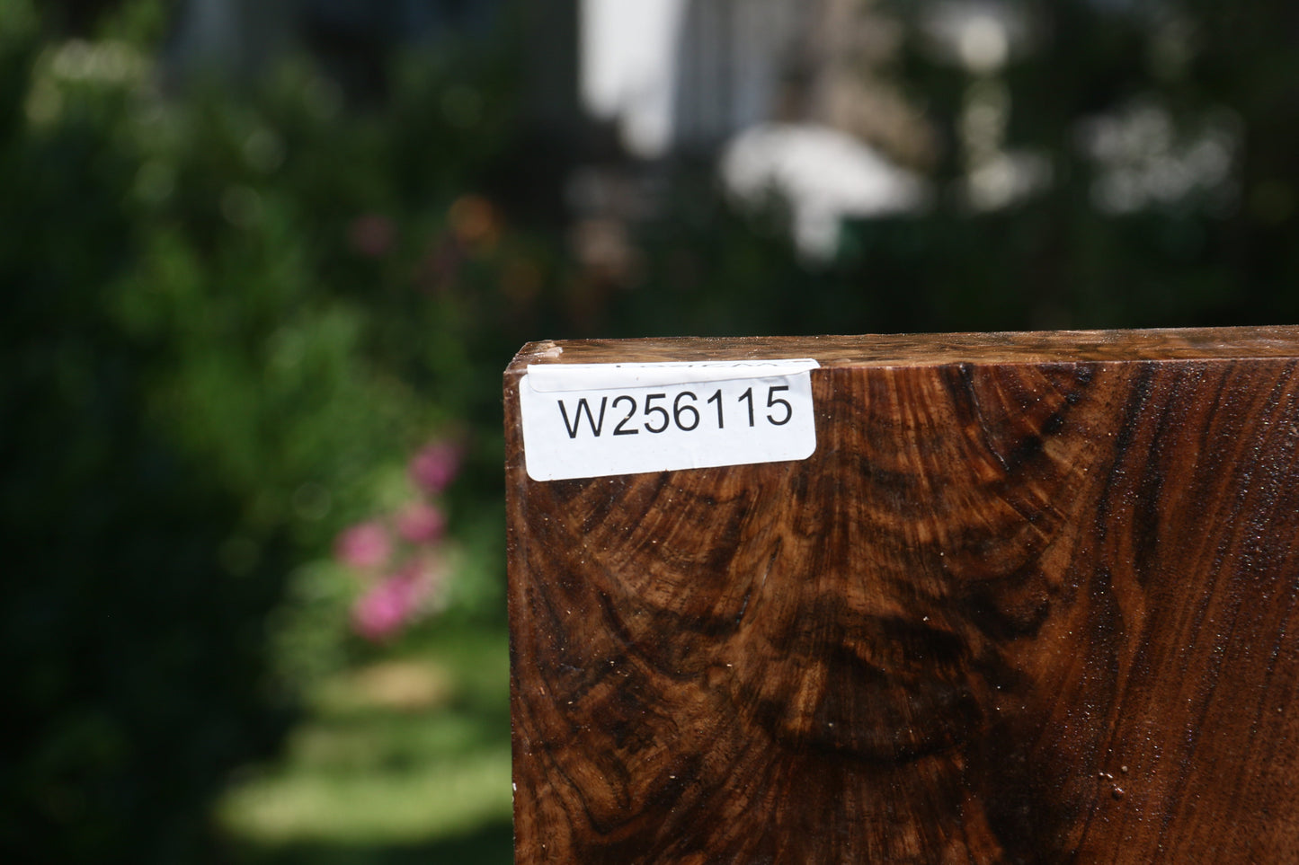 Exhibition Claro Walnut Bowl Blank