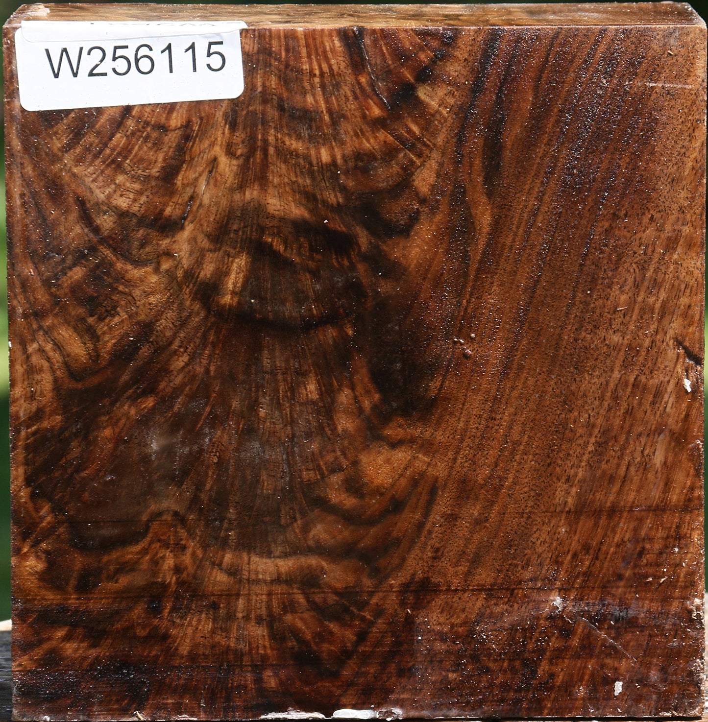 Exhibition Claro Walnut Bowl Blank