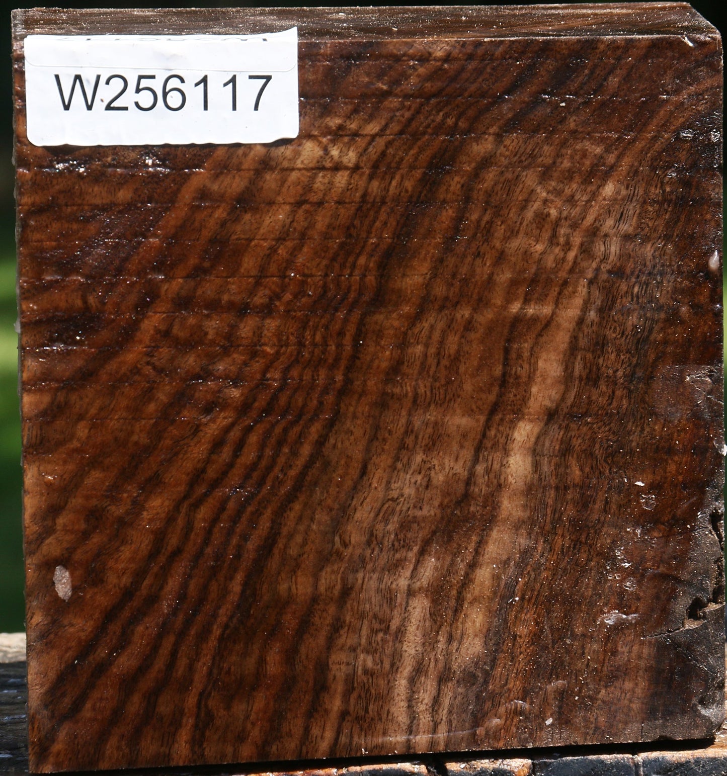 Figured Claro Walnut Bowl Blank