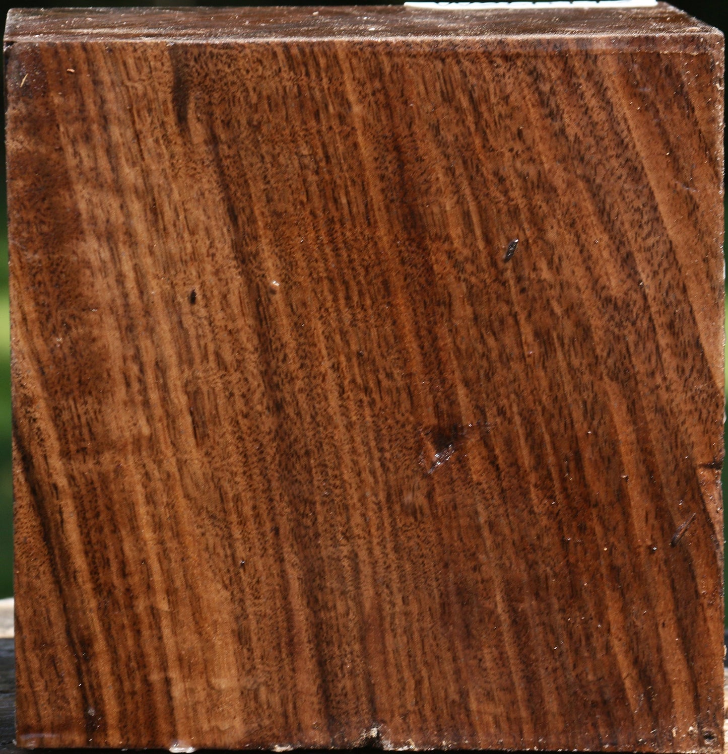 Figured Claro Walnut Bowl Blank