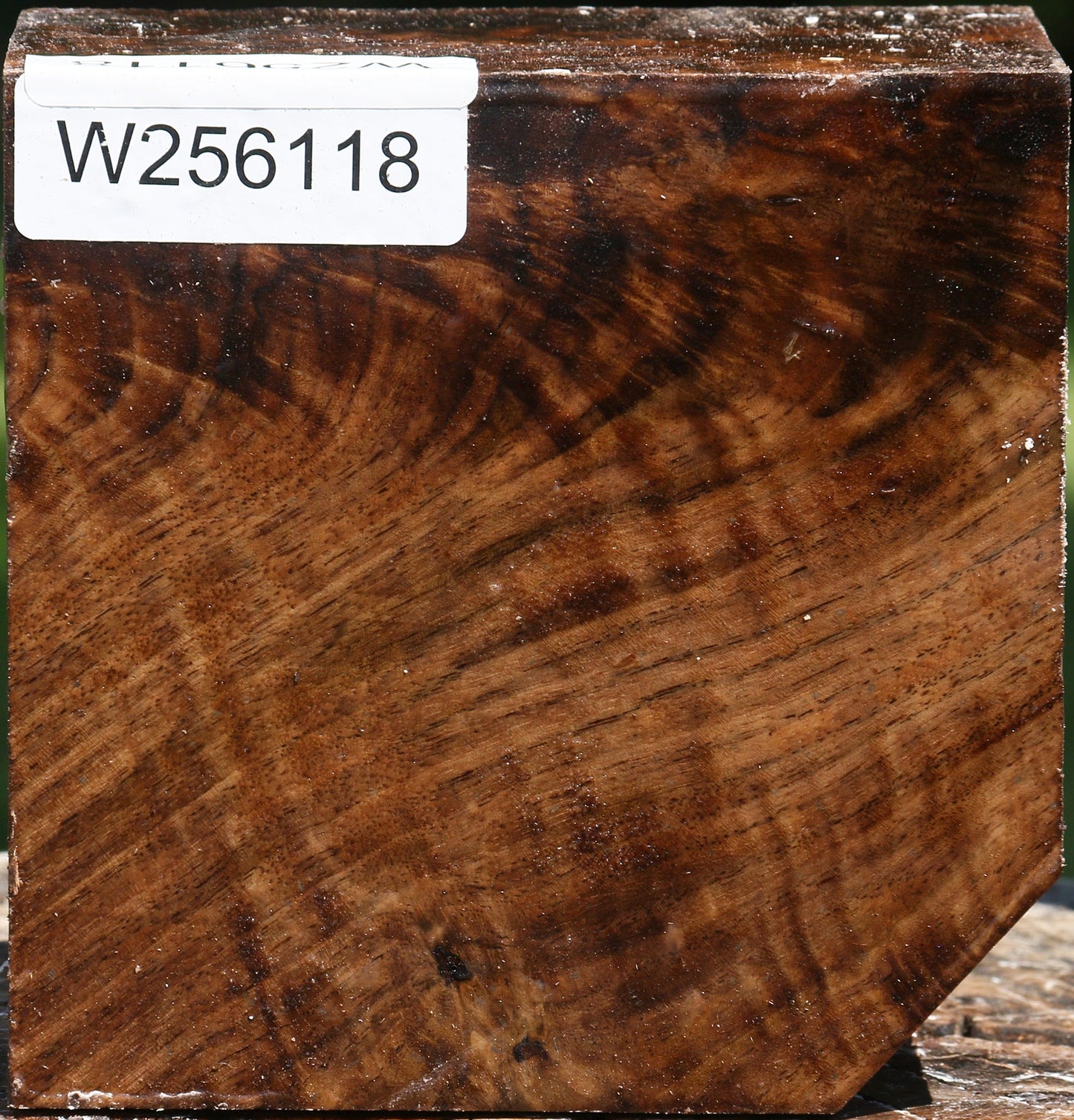 Extra Fancy Claro Walnut Bowl Blank