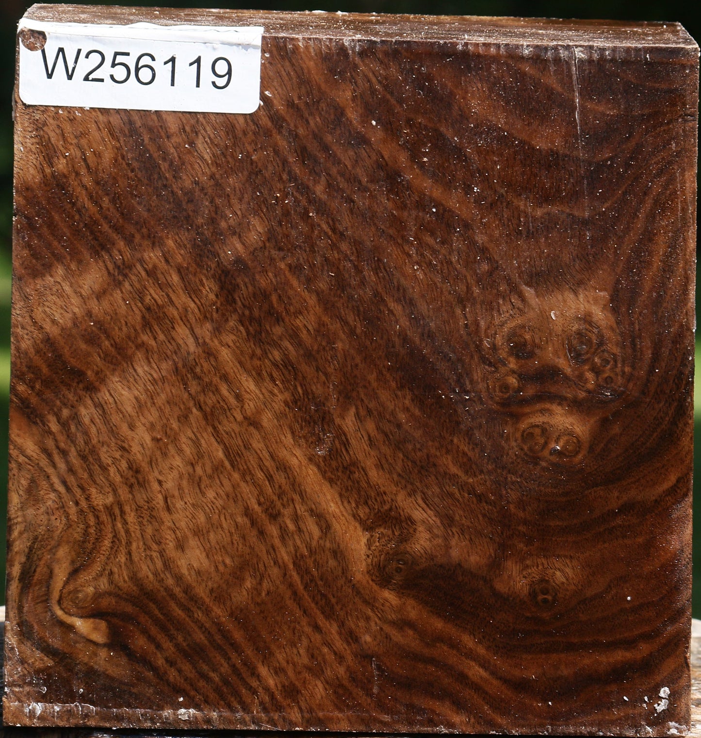 Figured Claro Walnut Bowl Blank