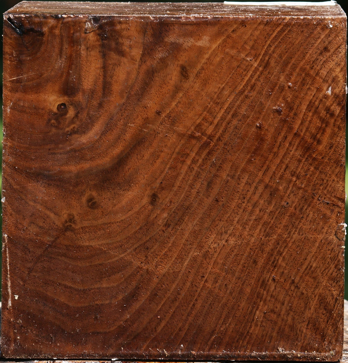 Figured Claro Walnut Bowl Blank